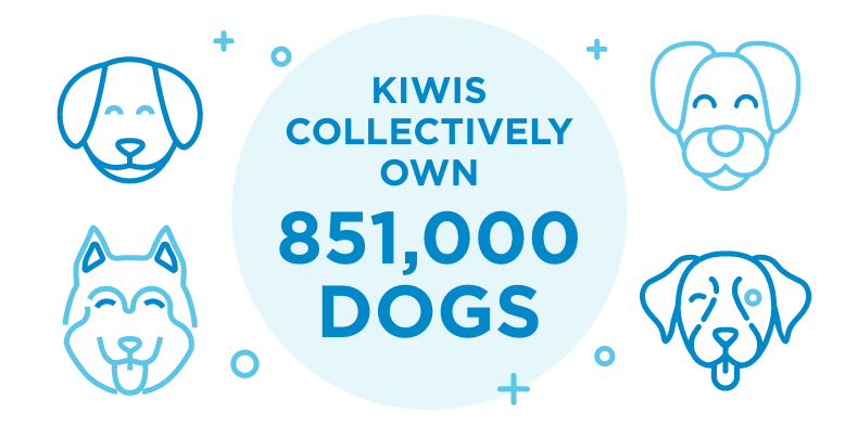 Illustration and text: Kiwis collectively own 851,000 dogs